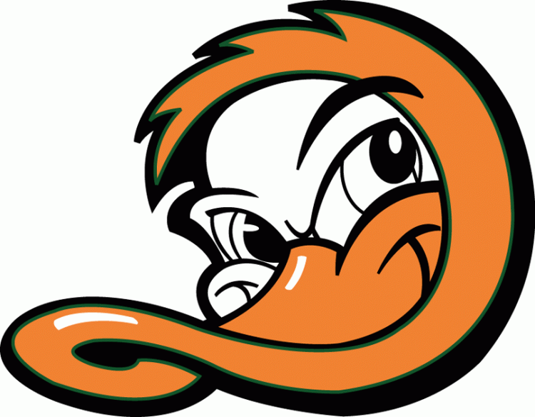 Long Island Ducks 2000-Pres Cap Logo iron on transfers for clothing